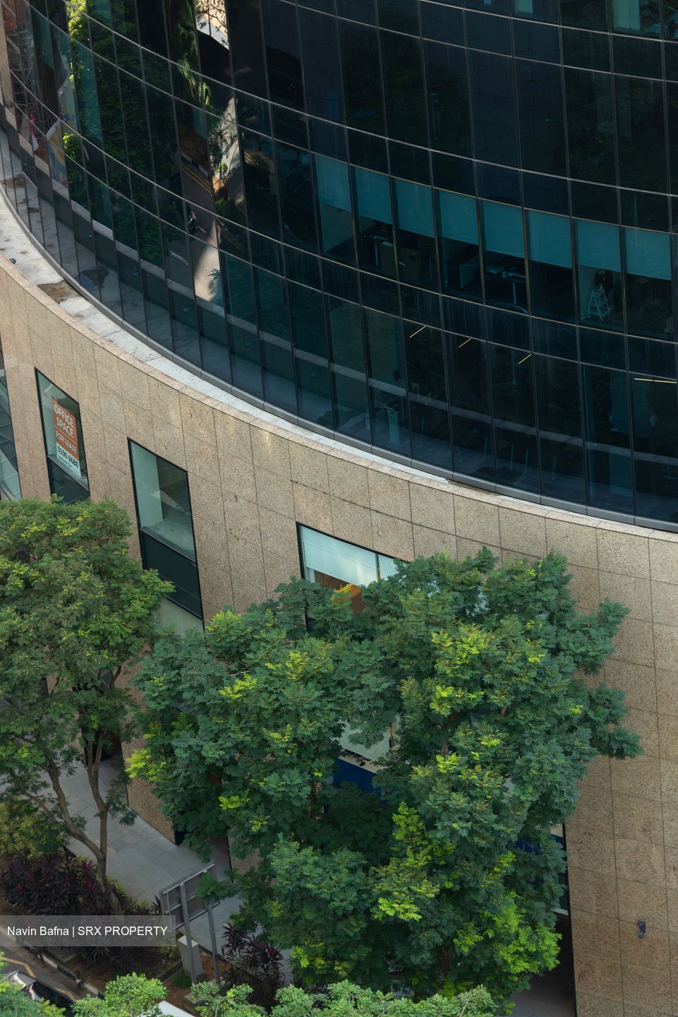 PLUS (D1), Office #587825881